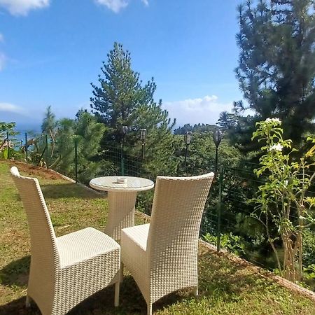 Logement Cosy Avec Piscine Et Vue Tahiti Punaauia Eksteriør bilde