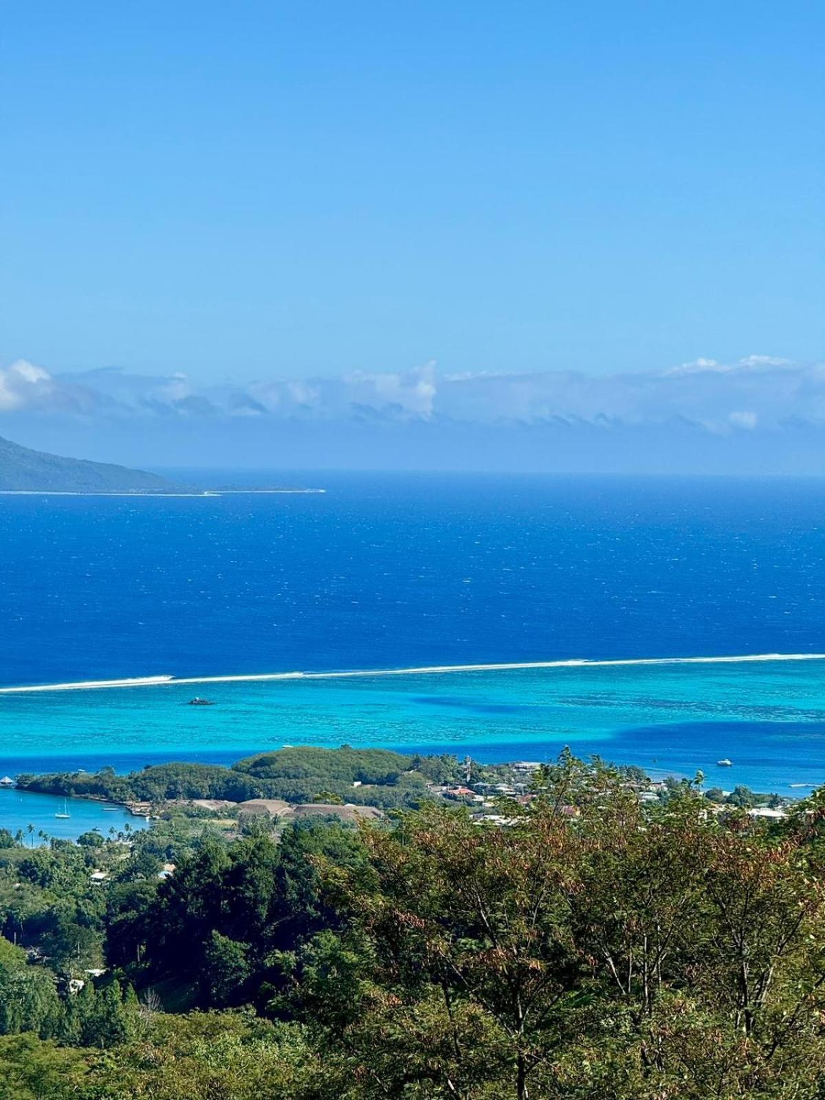 Logement Cosy Avec Piscine Et Vue Tahiti Punaauia Eksteriør bilde