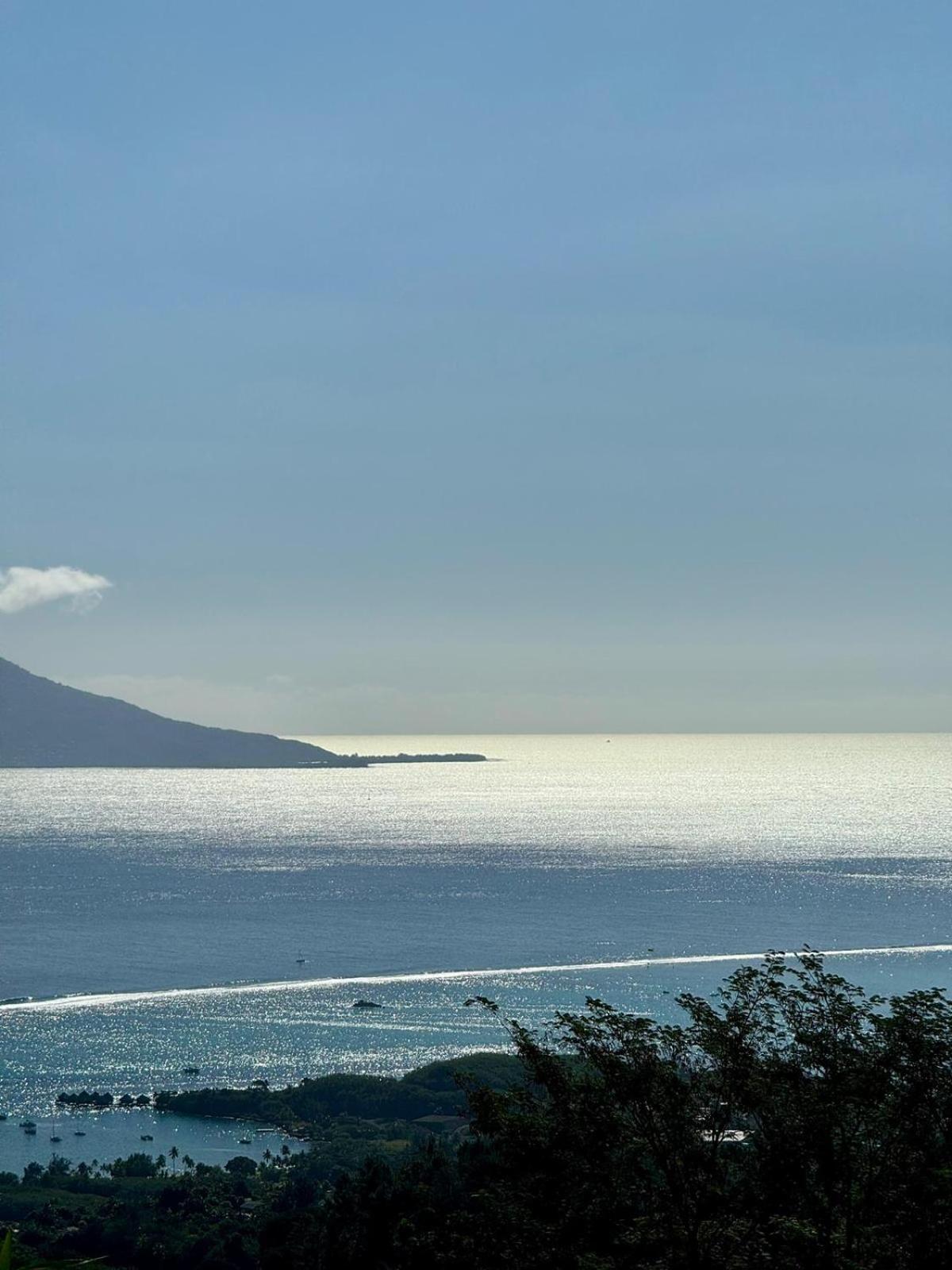 Logement Cosy Avec Piscine Et Vue Tahiti Punaauia Eksteriør bilde